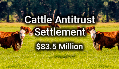 Cattle Claim Banner